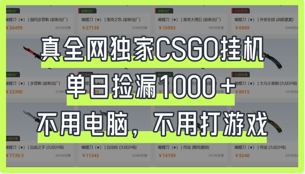 真全网独家CSGO挂机，单日捡漏1000+
