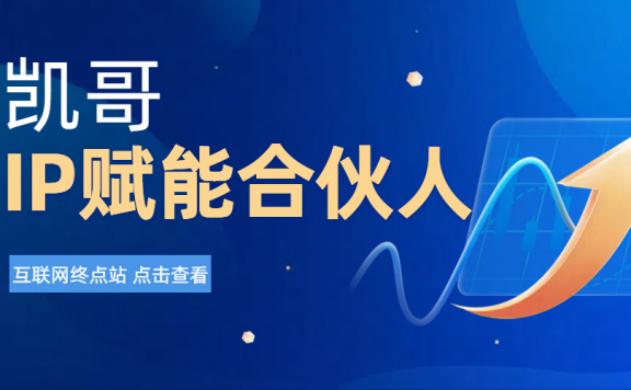 凯哥IP赋能合伙人介绍！！！