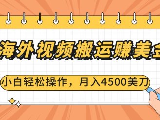 海外视频搬运赚美金，小白轻松操作，月入4500美刀