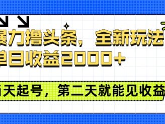 暴力撸头条全新玩法,单日收益2000+,小白也能无脑操作,当天起号,第二天见收益
