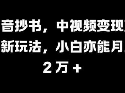 抖音抄书,中视频变现蓝海新玩法,小白亦能月入 2 万 +