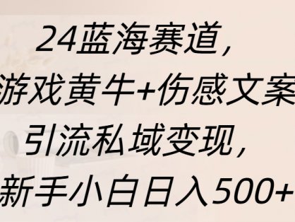 24蓝海赛道，游戏黄牛+伤感文案引流私域变现，新手日入500+