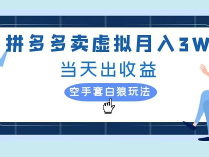 拼多多虚拟项目，单人月入3W+，实操落地项目