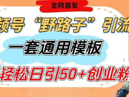 视频号“野路子”玩法,评论区疯狂截流,一套模板单日单号引流50+创业粉