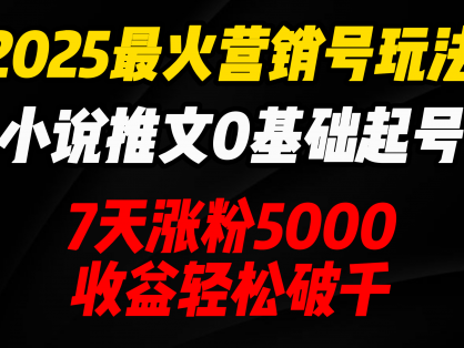 2025最火营销号玩法：小说推文0基础起号，7天涨粉5000，收益轻松破千！