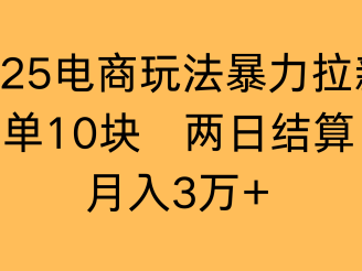2025电商玩法暴力拉新一单10块 两日结算月入3万+