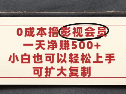 亲测,0成本可批量操作,靠卖影视会员实测月入30000+