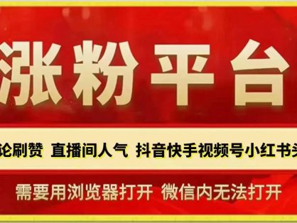 刷粉刷评论刷赞平台