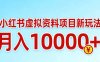 （17631期）小红书虚拟资料项目最新玩法，月入10000＋