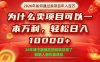 一单净利润1K+，26年想年入100个W，死磕卖项目就够了【揭秘】