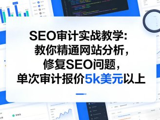 SEO审计实战教学：教你精通网站分析，修复SEO问题，单次审计报价5k美元以上