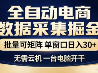 独家电商数据全自动采集项目，批量可矩阵，单窗口轻松日入3张+【揭秘】