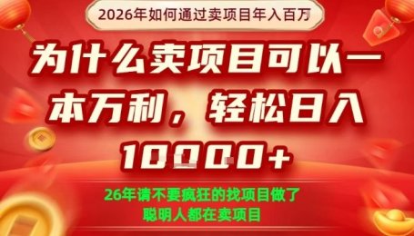 一单净利润1K+，26年想年入100个W，死磕卖项目就够了【揭秘】