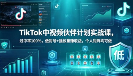 TikTok中视频伙伴计划实战课，过中率100%，低封号+播放量賺收益，个人矩阵均可做