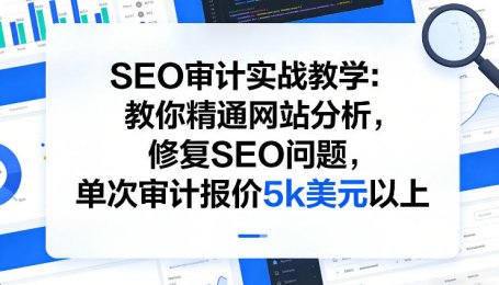 SEO审计实战教学：教你精通网站分析，修复SEO问题，单次审计报价5k美元以上